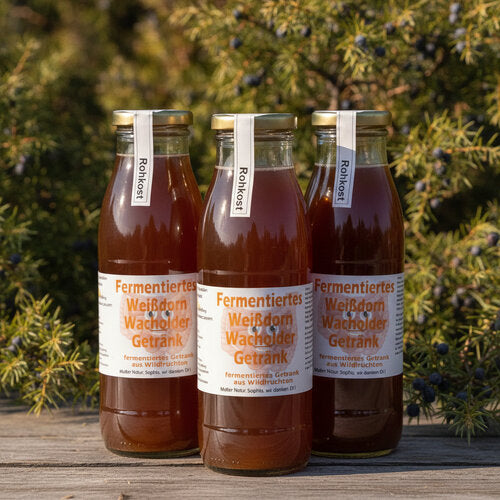 Kurpaket 3 Flaschen Fermentiertes Weißdorn Wacholder Getränk