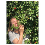 Kurpaket Sauerkirschenmus 5 Gläser - 95% Frucht mit Flohsamenschalen - Hofladen Gesund Geniessen