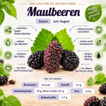Schwarze Maulbeeren Mus - 100% Frucht - 215 g - Hofladen Gesund Geniessen