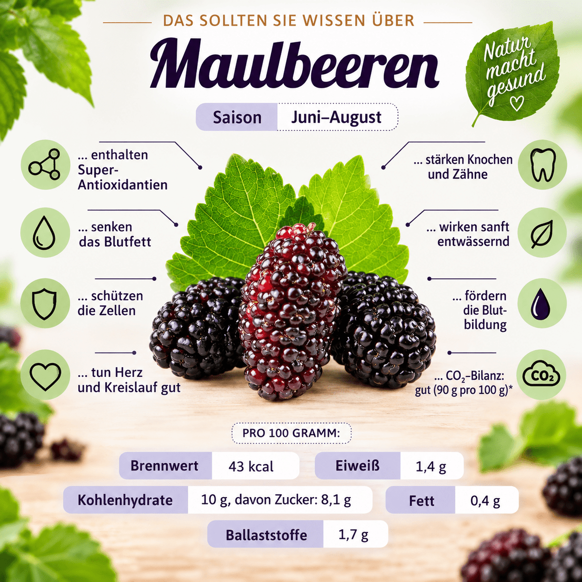 Schwarze Maulbeeren Mus - 100% Frucht - 215 g - Hofladen Gesund Geniessen