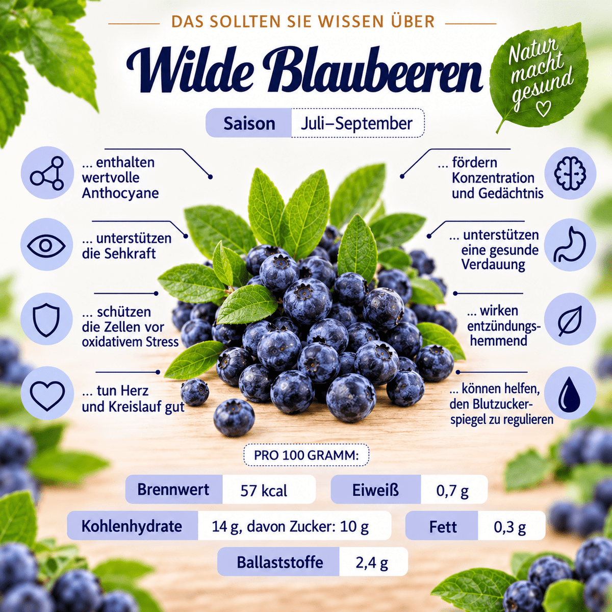 Wald Blaubeeren Mus - 215 g - 100 % Fruchtgenuss - Hofladen Gesund Geniessen