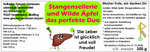 Wilde Äpfel Mus mit Stangenselleriepüree - 350 g - Hofladen Gesund Geniessen