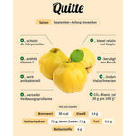 Wilde Quitten Mus 100% Frucht - 210 g - Hofladen Gesund Geniessen